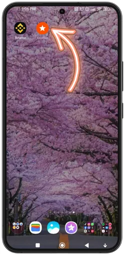 App icon located on home screen